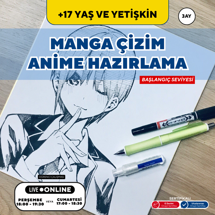 Manga ve Anime (17 Yaş ve Yetişkin)