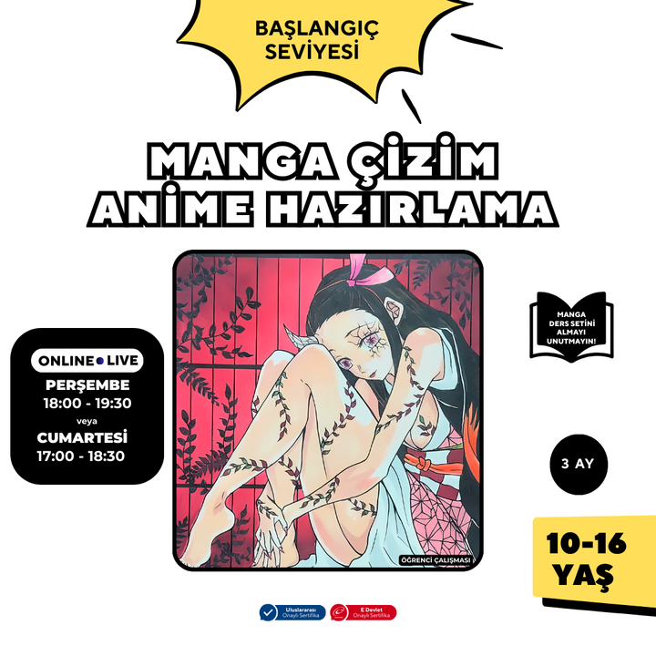 Manga Çizim ve Anime Hazırlama  (10-16 Yaş)