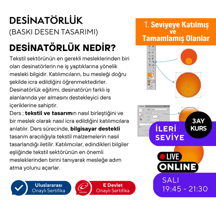 Desinatörlük (Baskı Desen Tasarımı) (İleri Seviye)