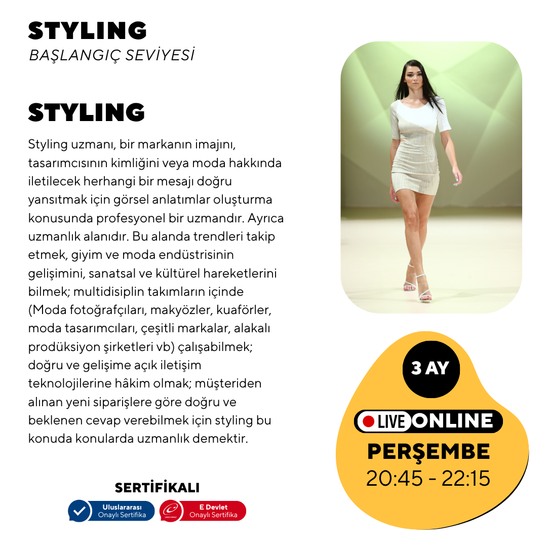 Styling -Baslangıç seviyesi