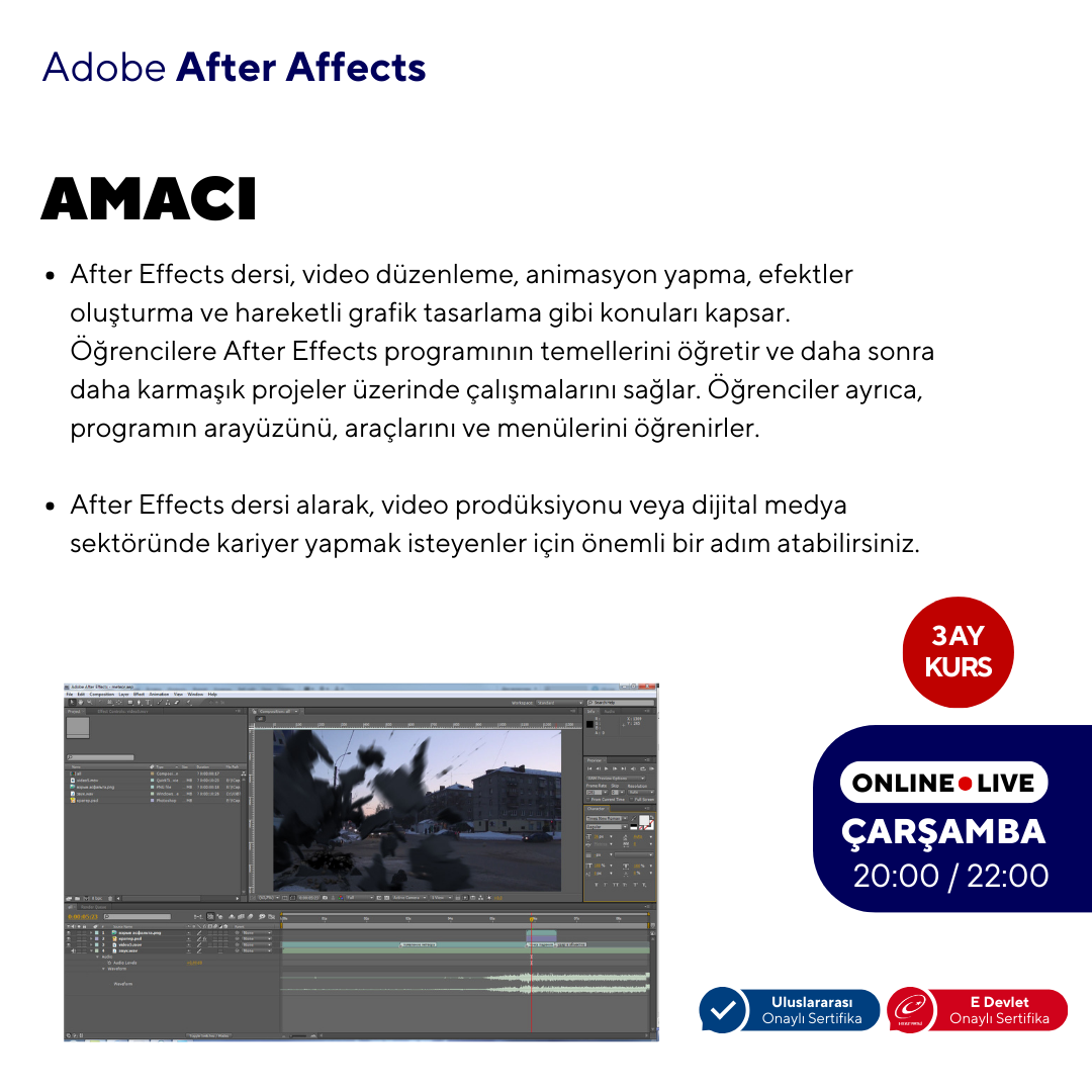 After Effects ( Online ) Temel Seviye