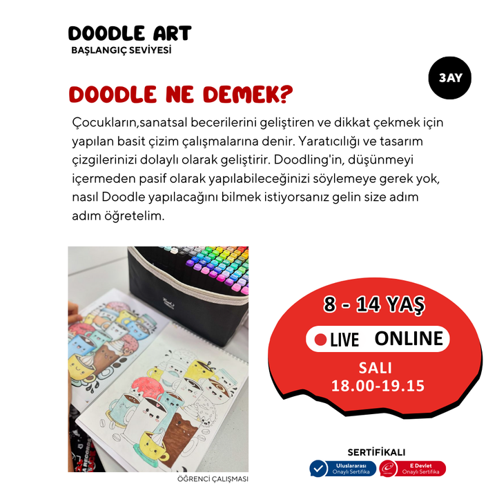 Doodle Sketching Art - Karalama Sanatı  (8-14 Yaş)