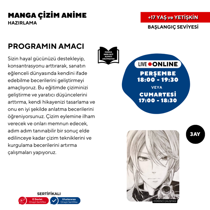 Manga ve Anime (17 Yaş ve Yetişkin)
