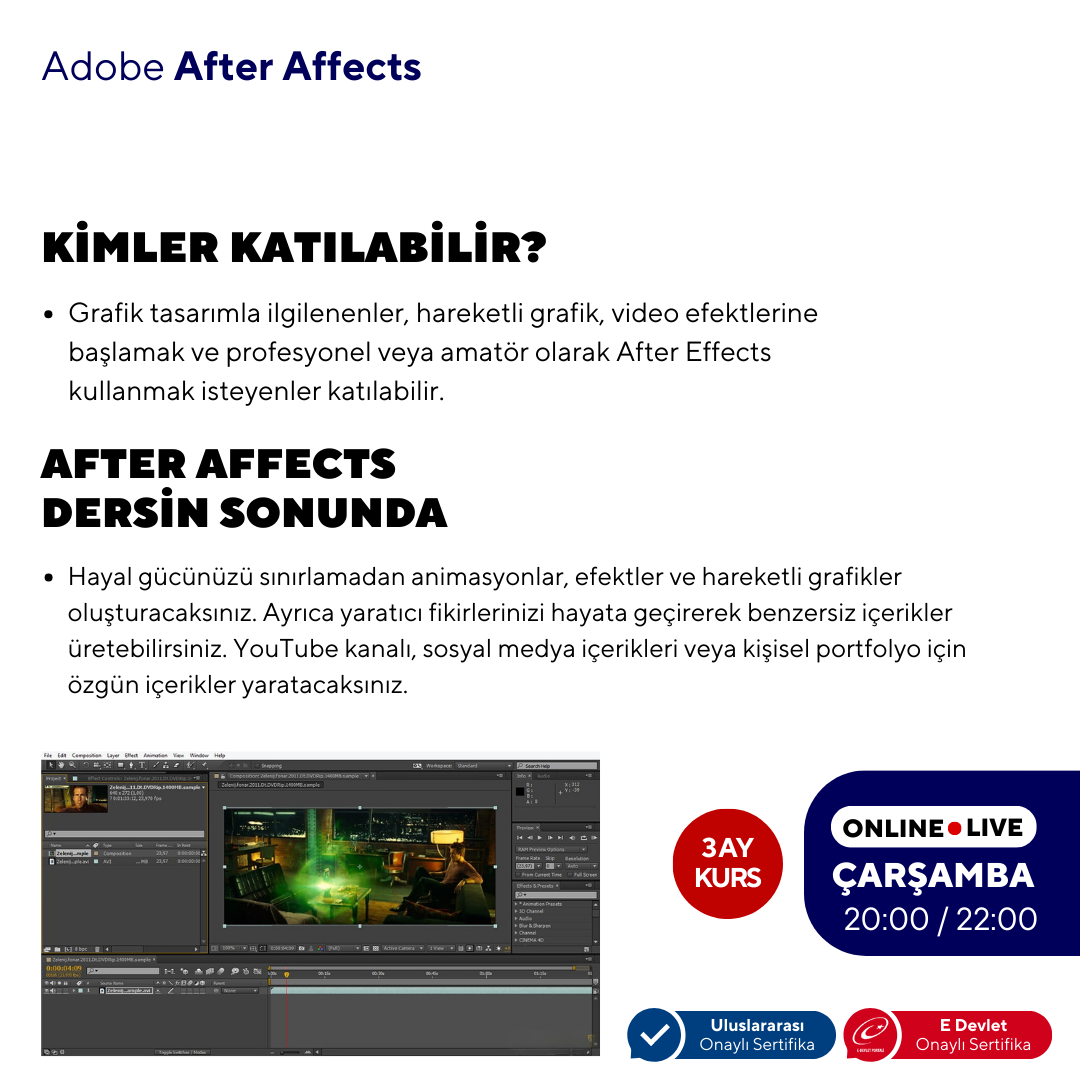 After Effects ( Online ) Temel Seviye