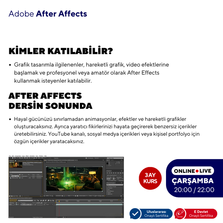 After Effects ( Online ) Temel Seviye