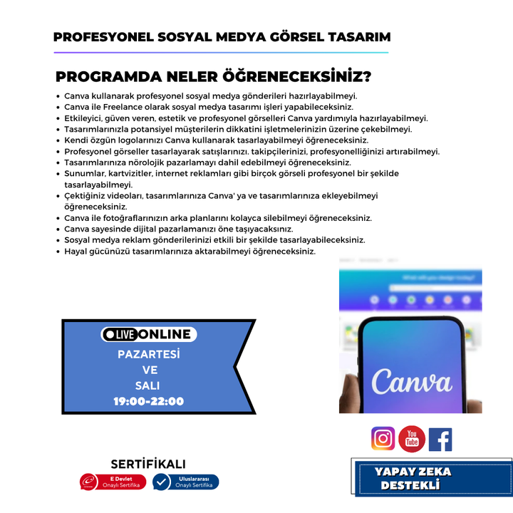 Profesyonel Sosyal Medya Görsel Tasarım  (Canva)