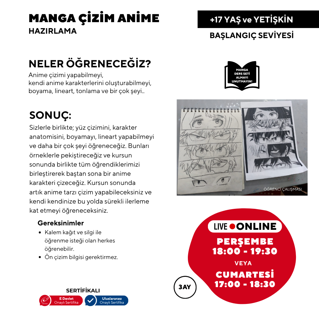 Manga ve Anime (17 Yaş ve Yetişkin)
