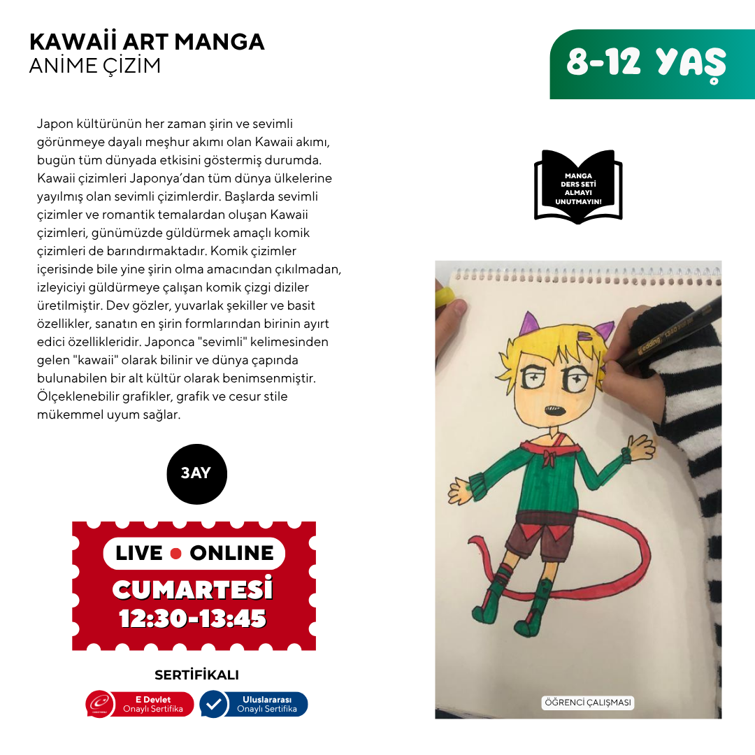 Kawaii Art Çizim  (8-12 Yaş)