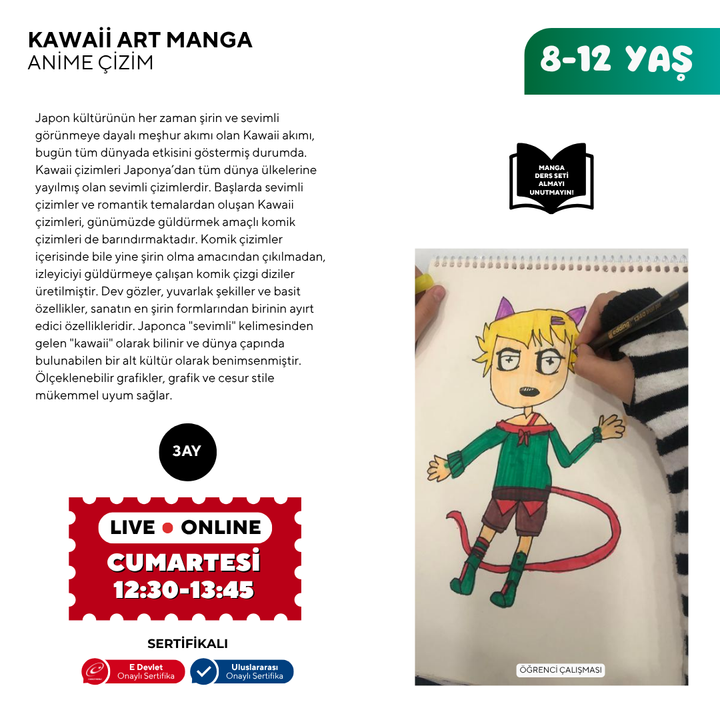 Kawaii Art Çizim  (8-12 Yaş)