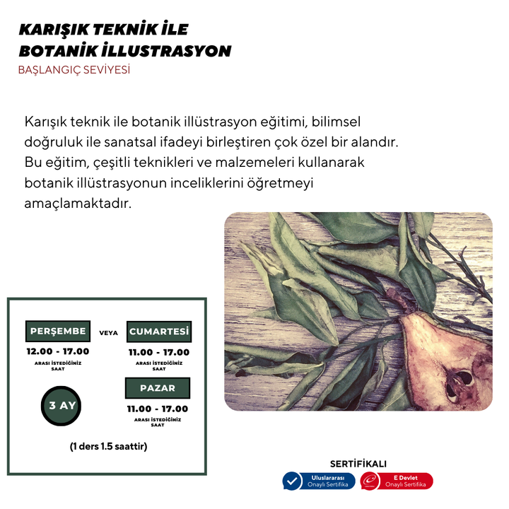 Botanik İllustrasyon  - Yüz Yüze