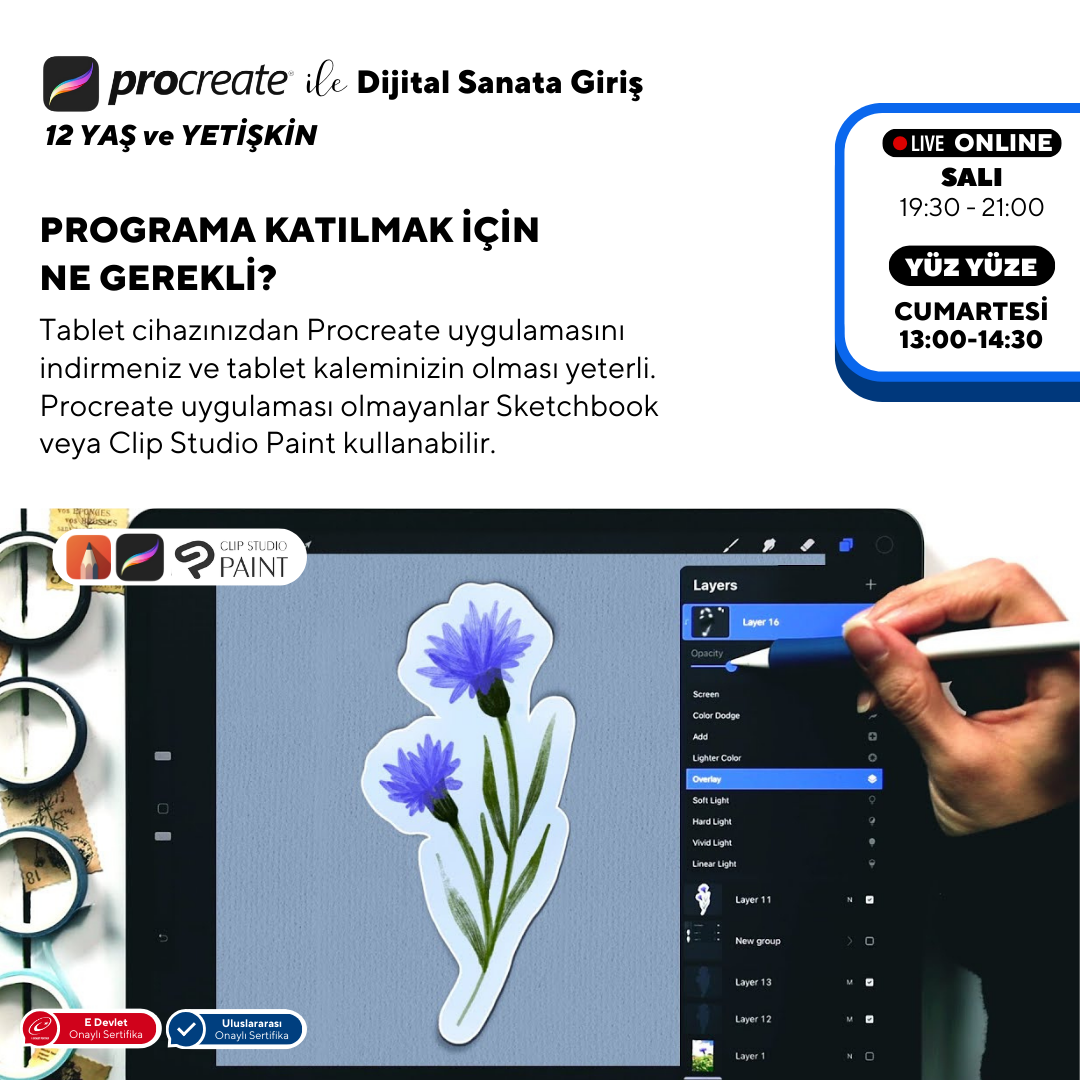 Procreate ile Dijital Sanata Giriş (+12 Yaş ve Yetişkin)