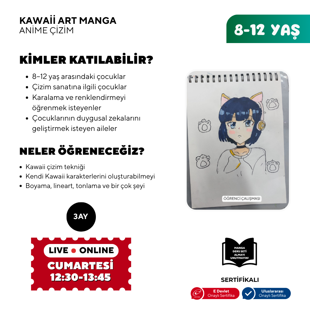 Kawaii Art Çizim  (8-12 Yaş)