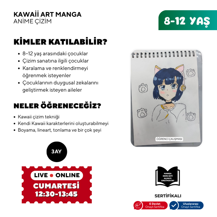 Kawaii Art Çizim  (8-12 Yaş)