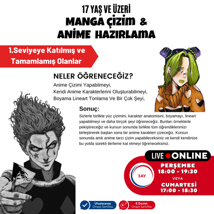 Manga Çizim ve Anime Hazırlama (Orta Seviye)(17 Yaş ve Yetişkin)