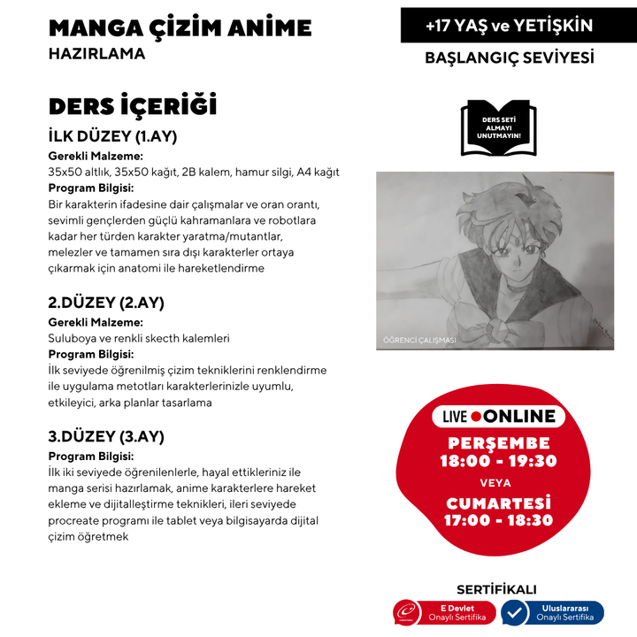 Manga ve Anime (17 Yaş ve Yetişkin)
