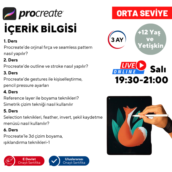 Procreate ile Dijital Sanat Öğreniyorum (+12 Yaş ve Yetişkin) (Orta Seviye)