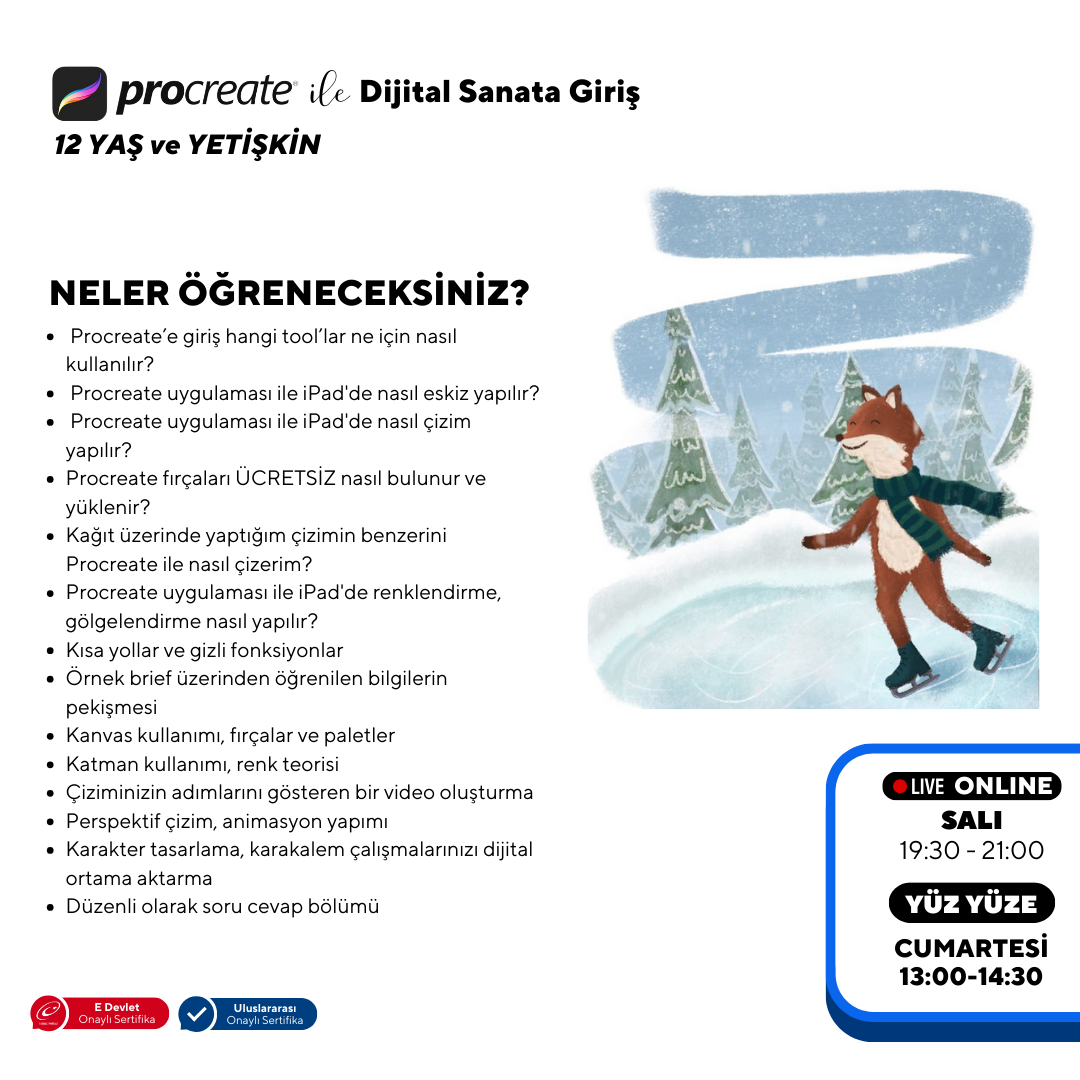 Procreate ile Dijital Sanata Giriş (+12 Yaş ve Yetişkin)