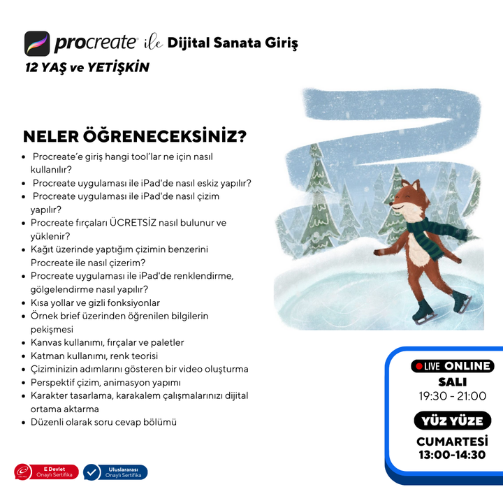 Procreate ile Dijital Sanata Giriş (+12 Yaş ve Yetişkin)