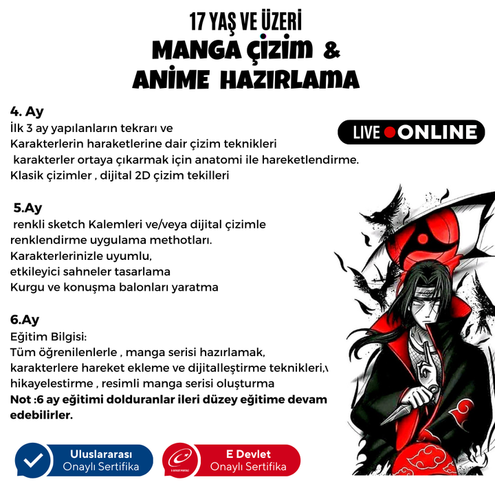 Manga Çizim ve Anime Hazırlama (Orta Seviye)(17 Yaş ve Yetişkin)