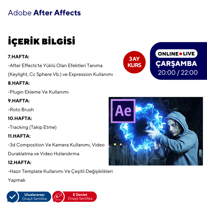 After Effects ( Online ) Temel Seviye