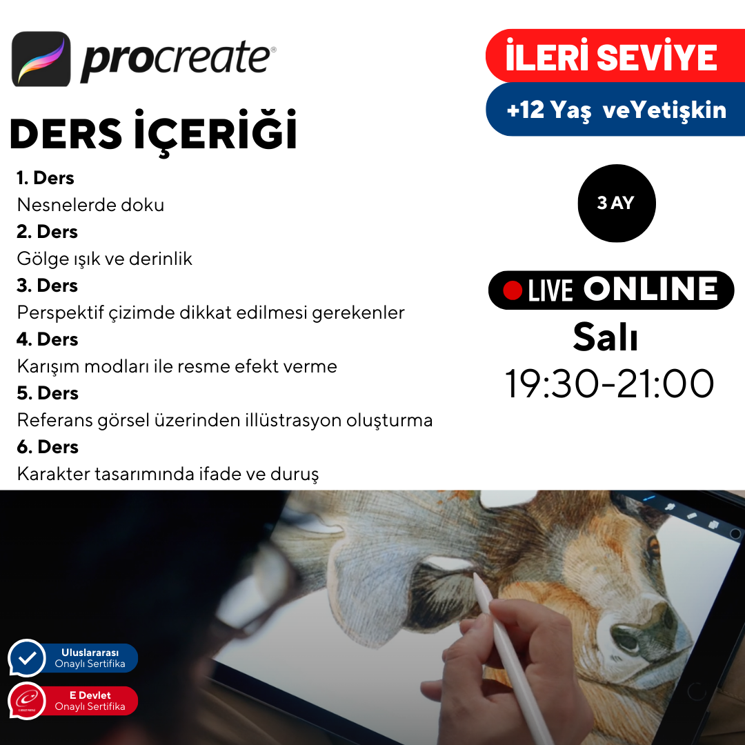 Procreate ile Dijital Sanat  - İleri Seviye -Online