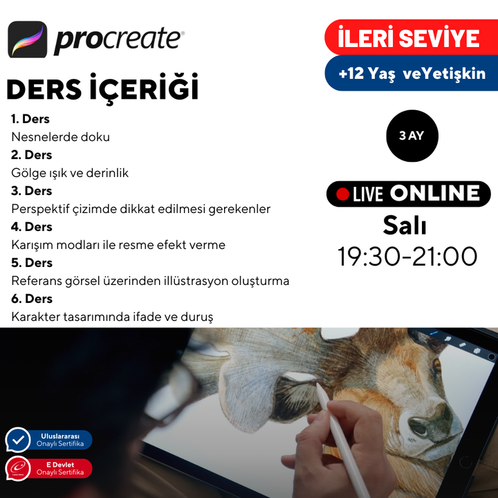 Procreate ile Dijital Sanat  - İleri Seviye -Online