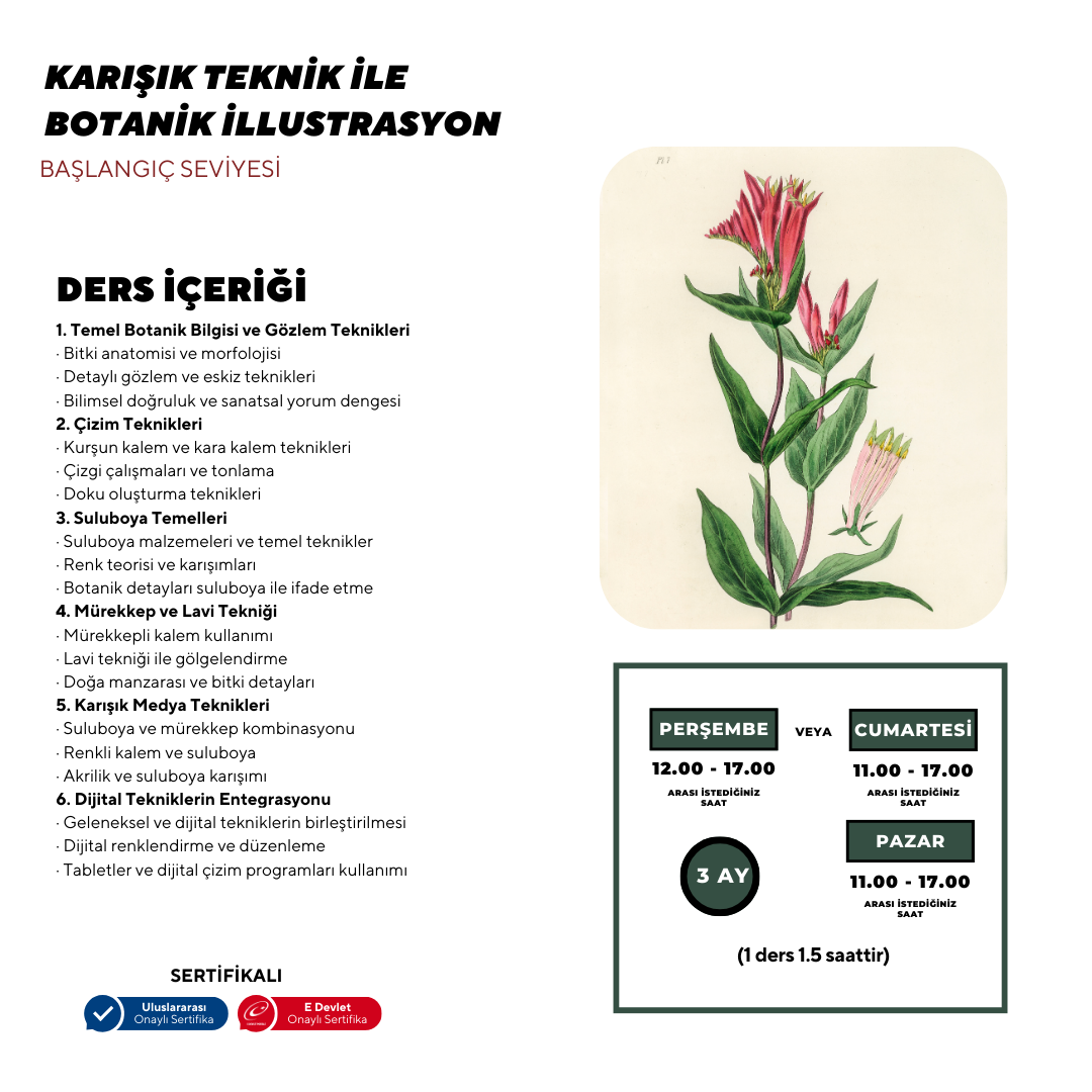 Botanik İllustrasyon  - Yüz Yüze