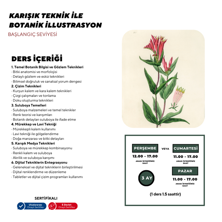 Botanik İllustrasyon  - Yüz Yüze
